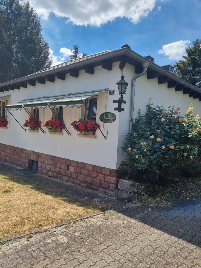 B&B Dressings Traumgarten Kaiserslautern Exteriör bild