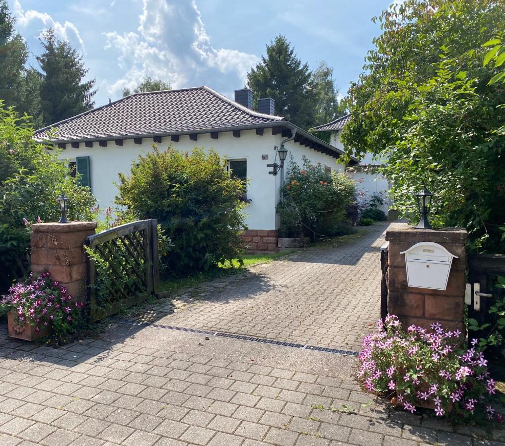 B&B Dressings Traumgarten Kaiserslautern Exteriör bild